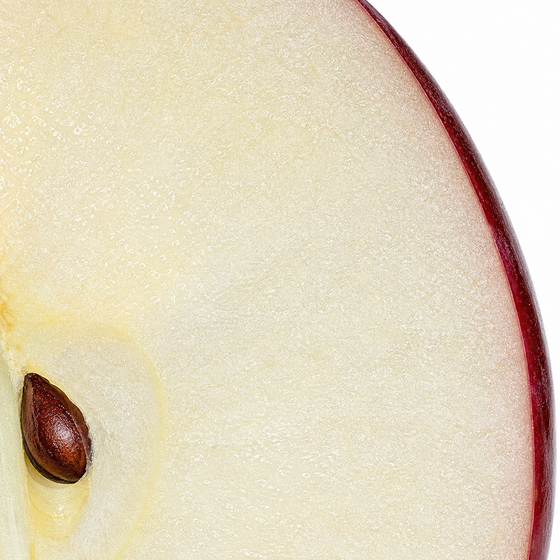 Apple Stem Cells (PhytoCellTec)