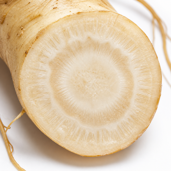 Panax Ginseng Extract