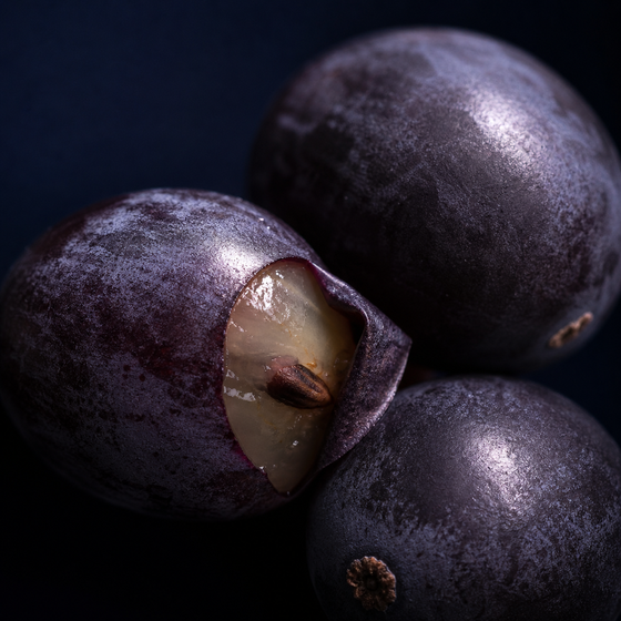 Resveratrol